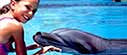 Nado con delfines en Cancn